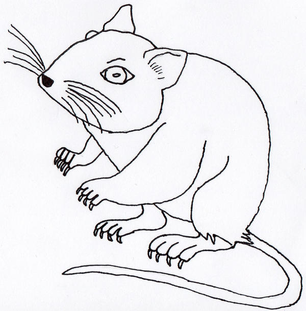 Maus-01- by wolfs-fan111 on DeviantArt
