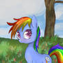 If Rainbow Dash is an Earth Pony