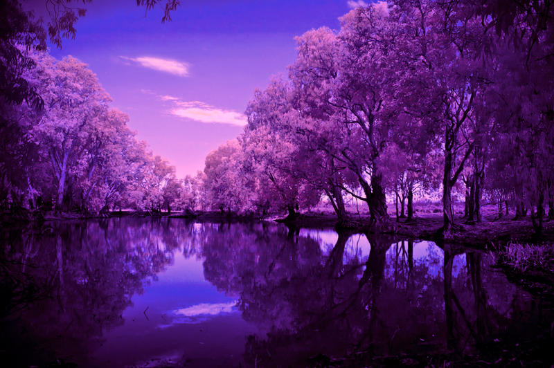 Infrared Reflection by Questavia on DeviantArt