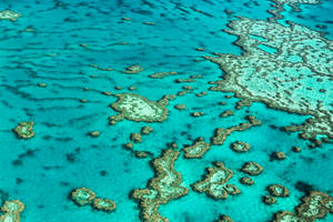 Great Barrier Reef