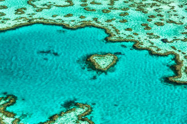 Heart of the Whitsundays