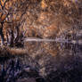 Majestic River IR