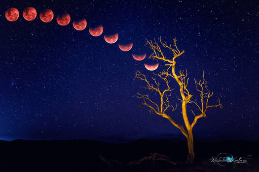 Blood Moon Rising