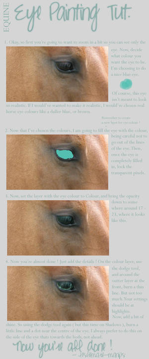 Equine Eye Colouring Tutorial