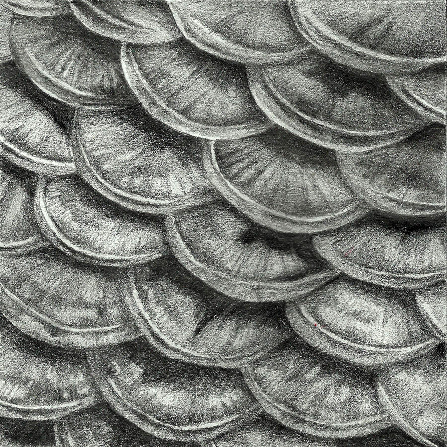 Fish scale texture' by LeaDjayaputra on DeviantArt