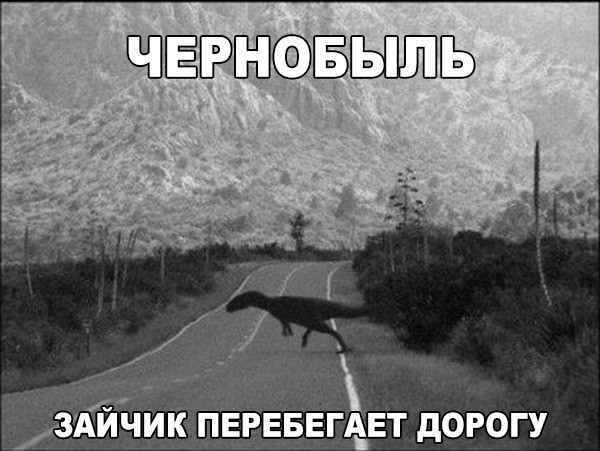 Chernobyl. Bunny crosses the street.