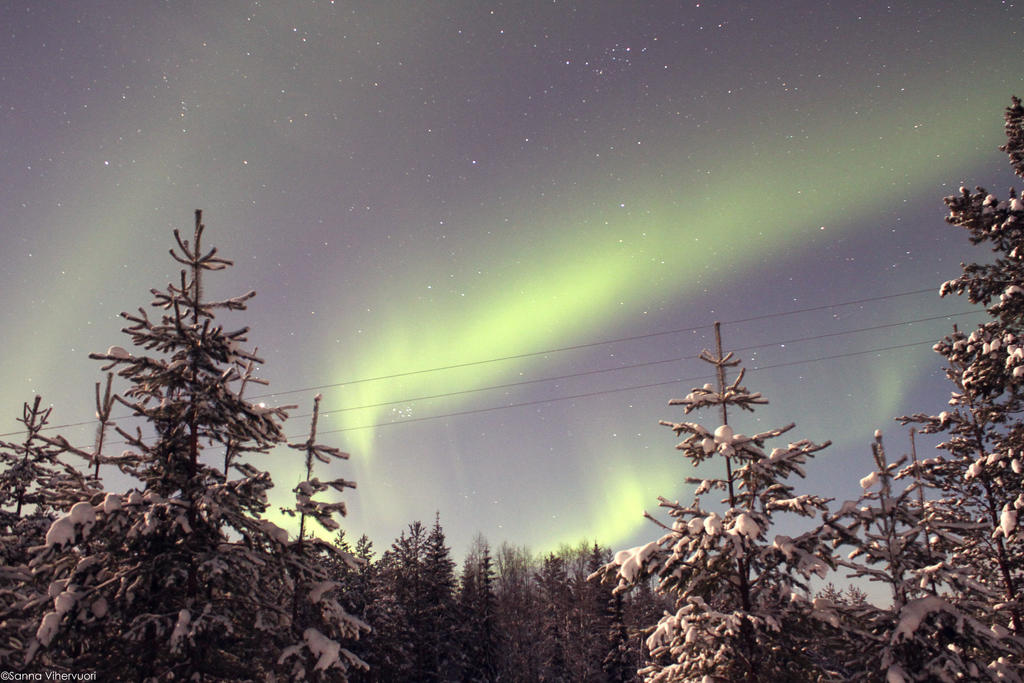 Northern Lights