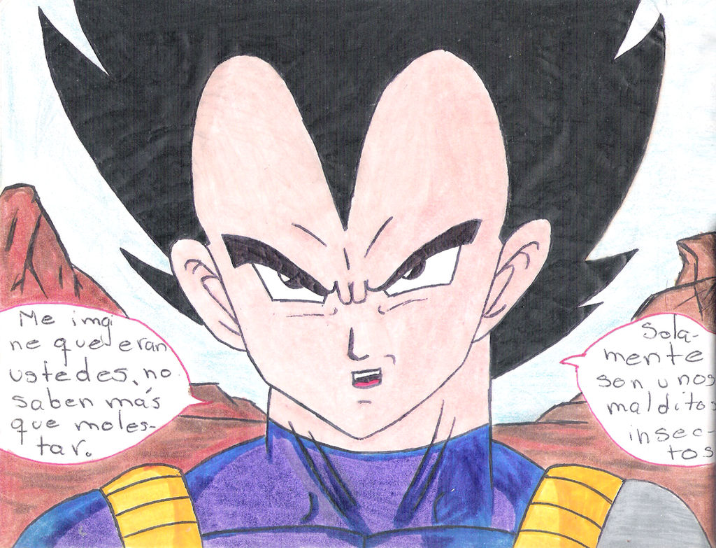 Vegeta the Reckless