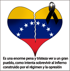 Fuerza Venezuela