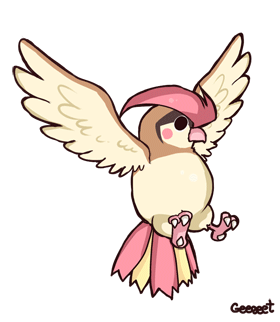 017 Pidgeotto