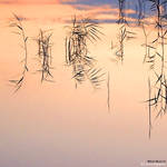 What About Us by PatrickRuegheimer