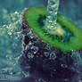 hygroscopic
