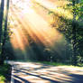 path to paradise