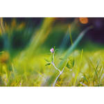 growth by PatrickRuegheimer