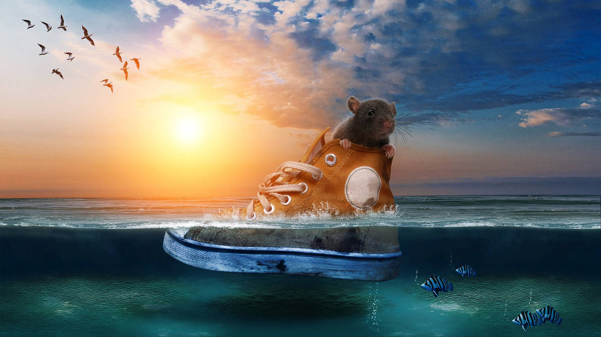 The Navigator! by genivaldosouza The Navigator! by genivaldosouza