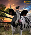 Cow flu by genivaldosouza