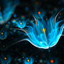 Coldfire