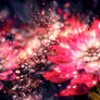 Innerbloom