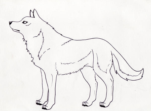 Basic Wolf Lineart FREE Lineart - Wolf by Moto-Princess on DeviantArt
