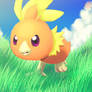 Torchic