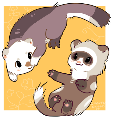 Otter and best sale ferret