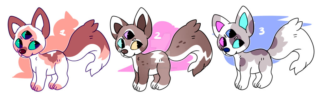 3 eye foxes: offer to adopt: CLOSED