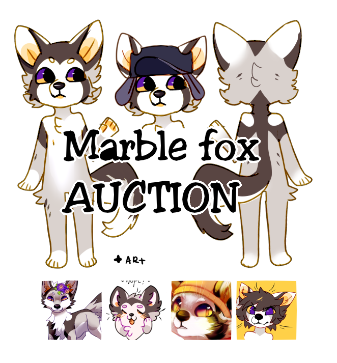 Marble fox:Auction: CLOSED