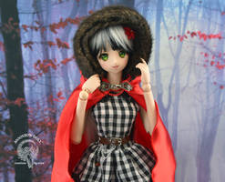 Legacy Day Cerise Hood Outfit for Dollfie Dream