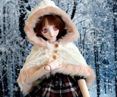 Dollfie Dream With Winter Outfit from Volks - 1