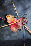 Fall Heart by palandir-anann