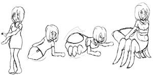 Partial Spider TF