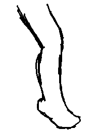 NDS Anim Leg to tree TF