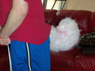 husky tail 1