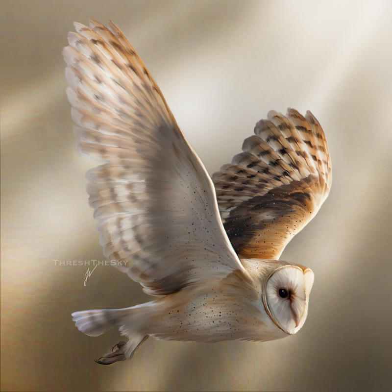 Flight of a Ghost by ThreshTheSky