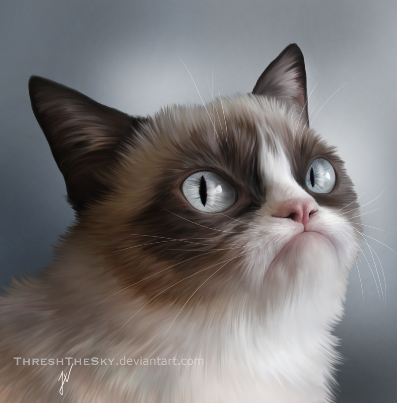 Grumpy Cat by ThreshTheSky