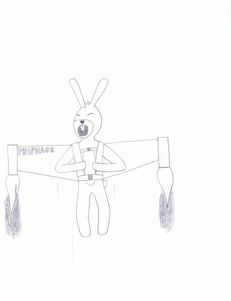 Rocket Rabbit by codycanWIN on DeviantArt