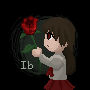 Ib (actual pixel size)