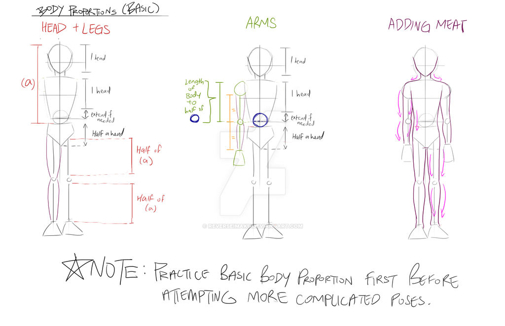 Quick tutorial: basic body proportions by ReverseImaku on DeviantArt
