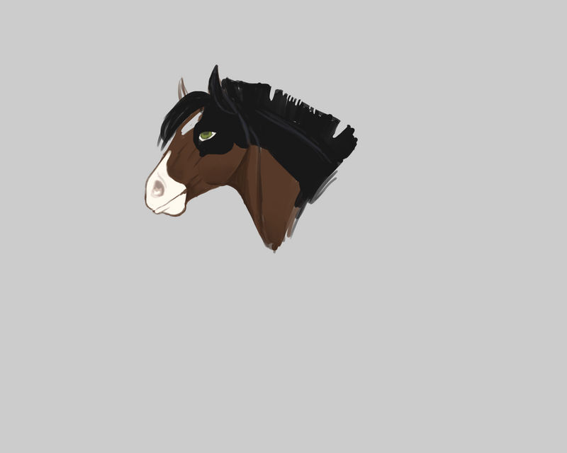 Horsewipnordie