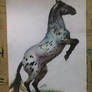 Horse drawing with colored pencils (for request)