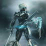 Raiden MGRR