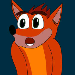 Crash looks concerned