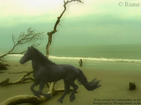 Horse at the Sea manipulation