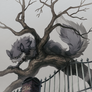 Fence
