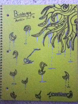 Biology Folder