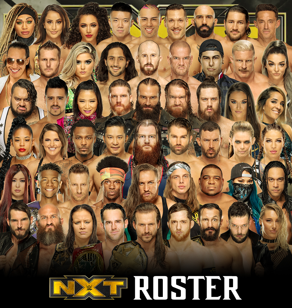 Nxt Roster 19 By Amethystmajesty25 On Deviantart