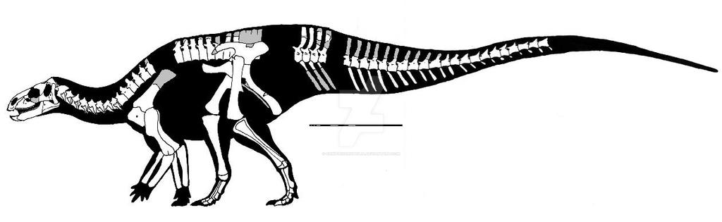 Tenontosaurus dossi skeletal restoration by ornithischophilia