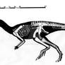 Parksosaurus warreni skeletal reconstruction