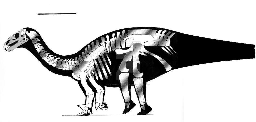 Lurdusaurus arenatus skeletal reconstruction
