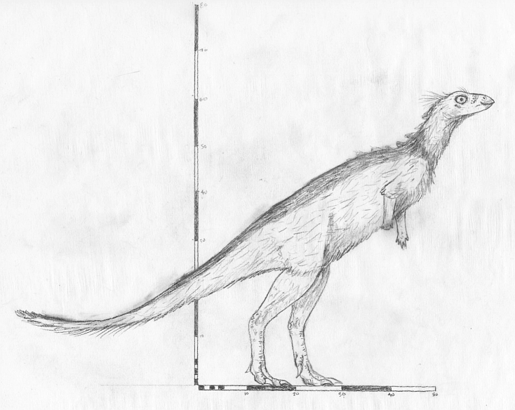 Sketch of Changchunsaurus parvus